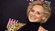 Sharon Stone Net Worth 2021, Bio, Career