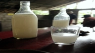 Why palm wine is good for you