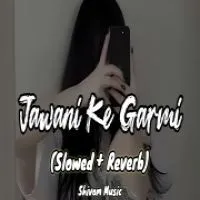 Jawani Ke Garmi - Bhojpuri (Lofi Mix)