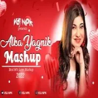 Alka Yagnik 90s Evergreen Songs (Lofi Mashup)