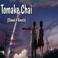 Tomake Chai (Lofi Mix)