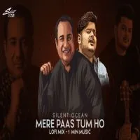 Mere Paas Tum Ho (Lofi Mix)