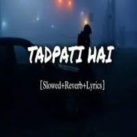 Tadpati Hai Teri Baatein Aur Yaadein Teri Rulati Hai (Lofi Mix)