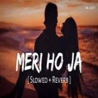 Meri Ho Ja (Lofi Mix)