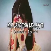 Koi Jaye To Le Aaye (Lofi Mix)