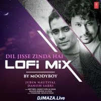 Dil Jisse Zinda Hai (Lofi Mix)