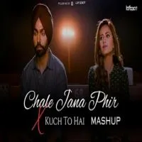 Chale Jana Phir X Kuch To Hai (Lofi Mashup)