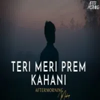 Teri Meri Prem Kahani Mashup