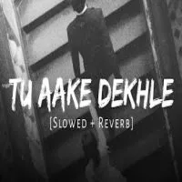 Tu Aake Dekhle (Lofi Mix)