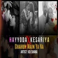 Hayyoda X Kesariya (Chillout Mashup)