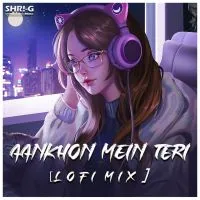 Aankhon Mein Teri Ajab Si (Lofi Mix)