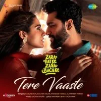 Tere Vaaste Ai Cover