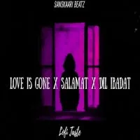 Salamat X Dil Ibaadat X Love is Gone LOVE (Lofi Mashup)