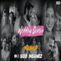 Wedding Season Mashup 2024 (Lofi Mashup)