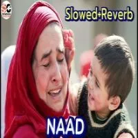 NAAD (Kashmiri Sad Song) (Lofi Mix)