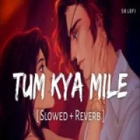 Tum Kya Mile (Lofi Mix)