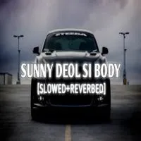 Sunny Deol Si Body Re - Haryanvi (Lofi Mix)