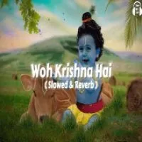 Woh Krishna Hai (Lofi Mix)