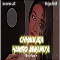 Chhalakata Hamro Jawaniya - Bhojpuri (Lofi Mix)