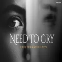 Need To Cry Emotion Mashup 2023 (Lofi Mashup)