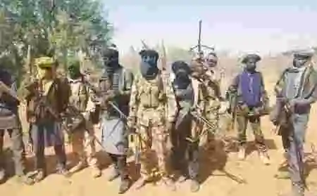 Why There’s No Banditry in Southwest - Ex-Minister, Shittu