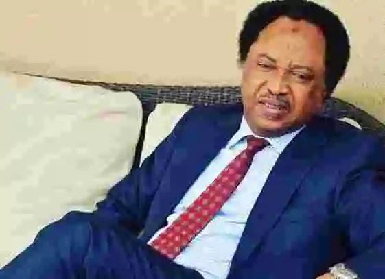 Political Interests Frustrating Amendment Of The Constitution – Shehu Sani