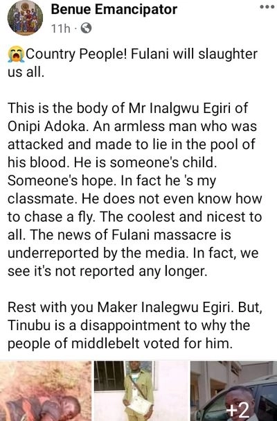 Herdsmen Kill Benue Graduate While Working On His Farm