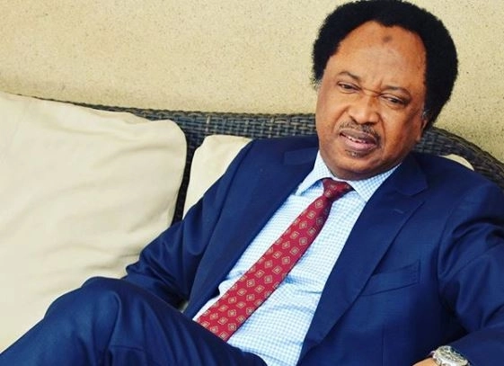Political Interests Frustrating Amendment Of The Constitution – Shehu Sani