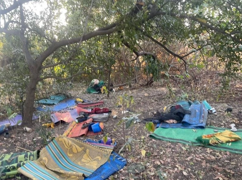 Troops And Vigilantes Rescue Four Abducted Victims In Kebbi Forest