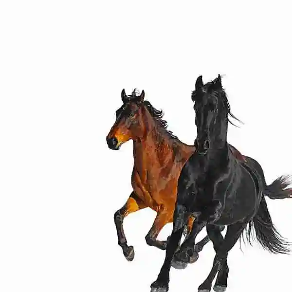 Lil Nas X - Old Town Road ft. Billy Ray Cyrus 