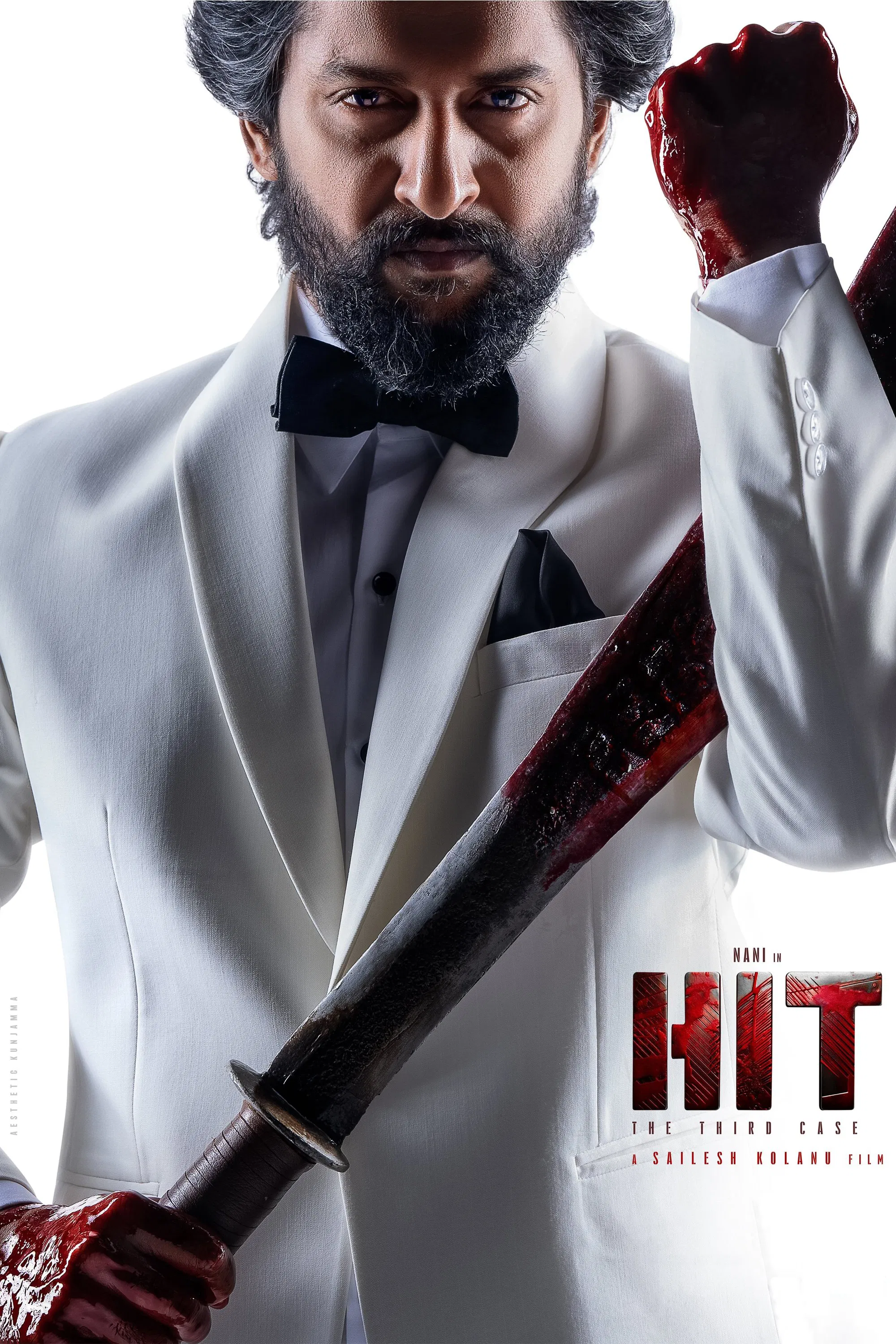 HIT 3 - The Third Case (2025) South Hindi Dubbed Movie HQCam