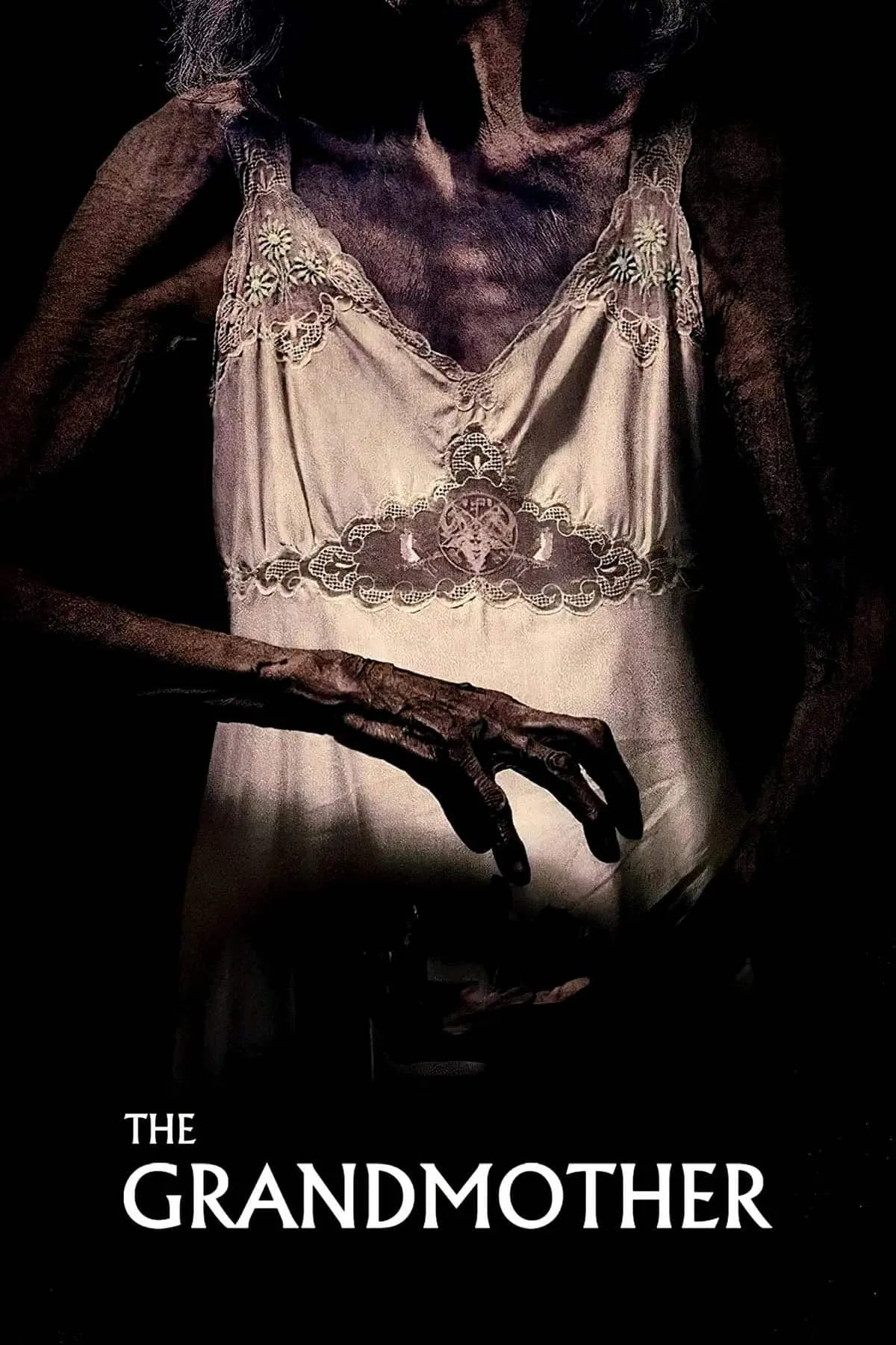 The Grandmother (2021) Dual Audio [Hindi & Spanish] Full Movie BluRay ESub