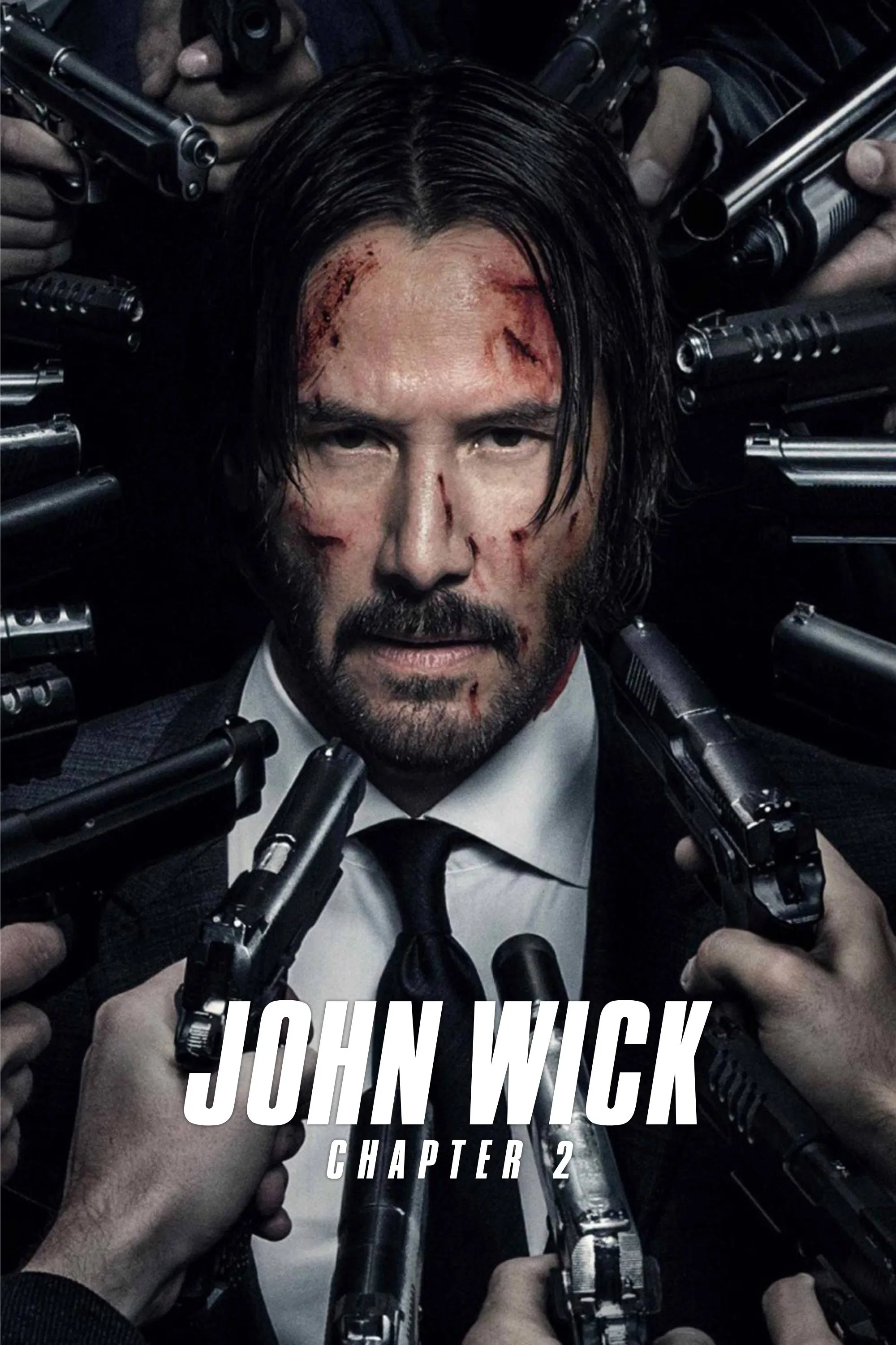 John Wick - Chapter 2 (2017) (Hindi + English) Dual Audio Blu-Ray